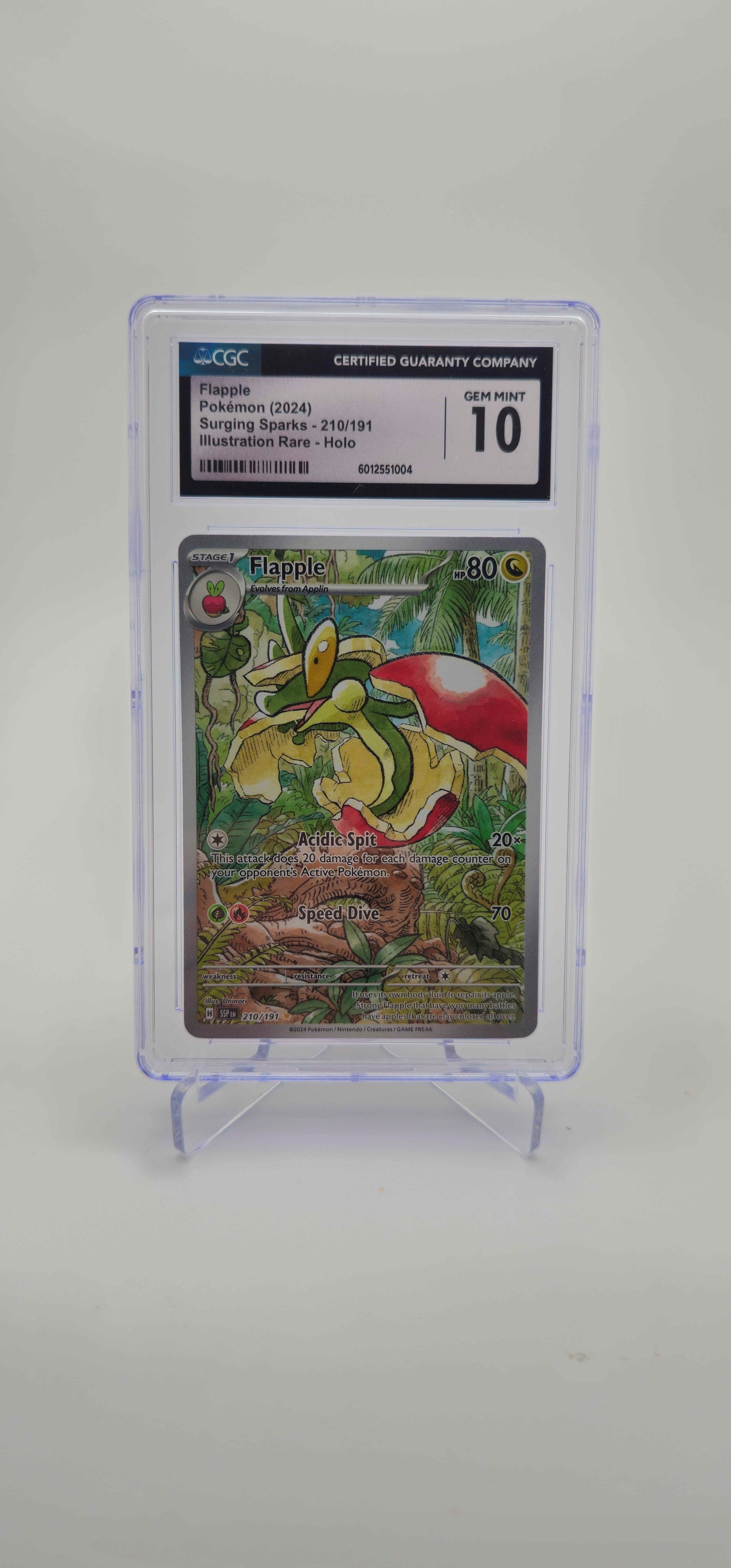 CGC 10 - EN - Flapple 210/191 - SV08